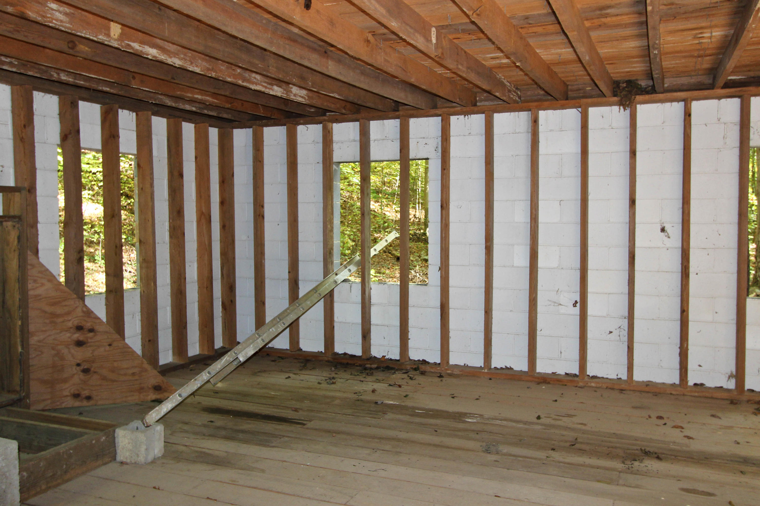 Maple Lane Newport, TN 37821 - Photo 20 of 25 IMG_5730