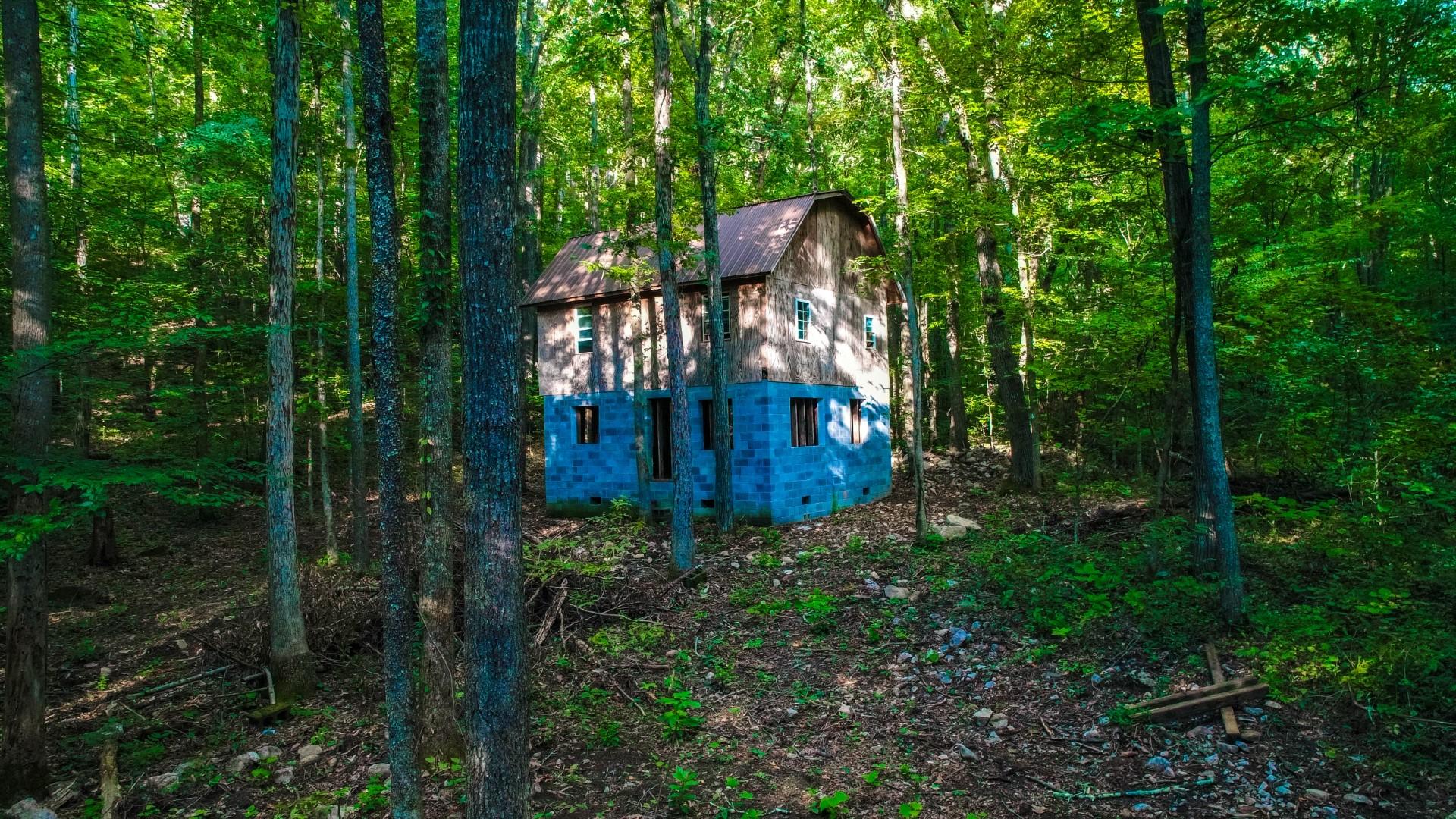 Maple Lane Newport, TN 37821 - Photo 4 of 25 DJI_0026