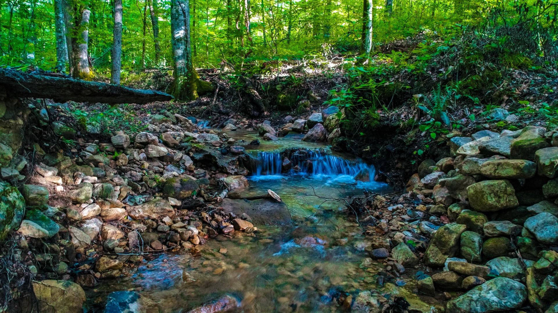 Maple Lane Newport, TN 37821 - Photo 6 of 25 DJI_0025