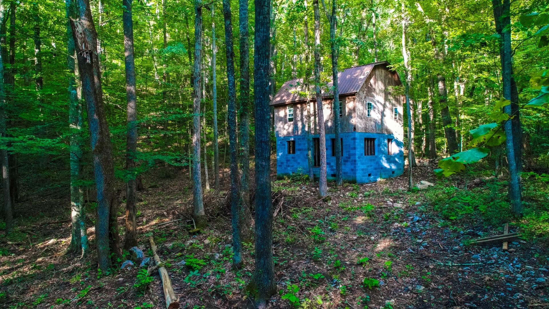 Maple Lane Newport, TN 37821 - Photo 8 of 25 DJI_0030