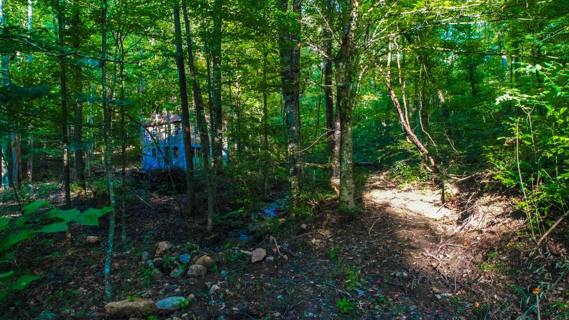 Maple Lane Newport, TN 37821 - Photo 10 of 25 DJI_0033
