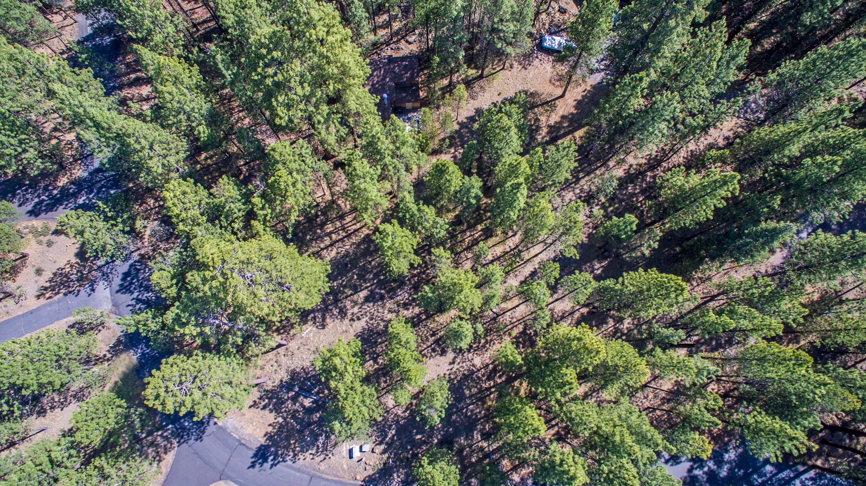 13759 Partridge Foot, Unit RR76 Black Butte Ranch, OR 97759 - Photo 7 of 31 13759 PARTRIDGE FOOT RR76 - Level 0.65 Acre Lot in Black Butte Ranch