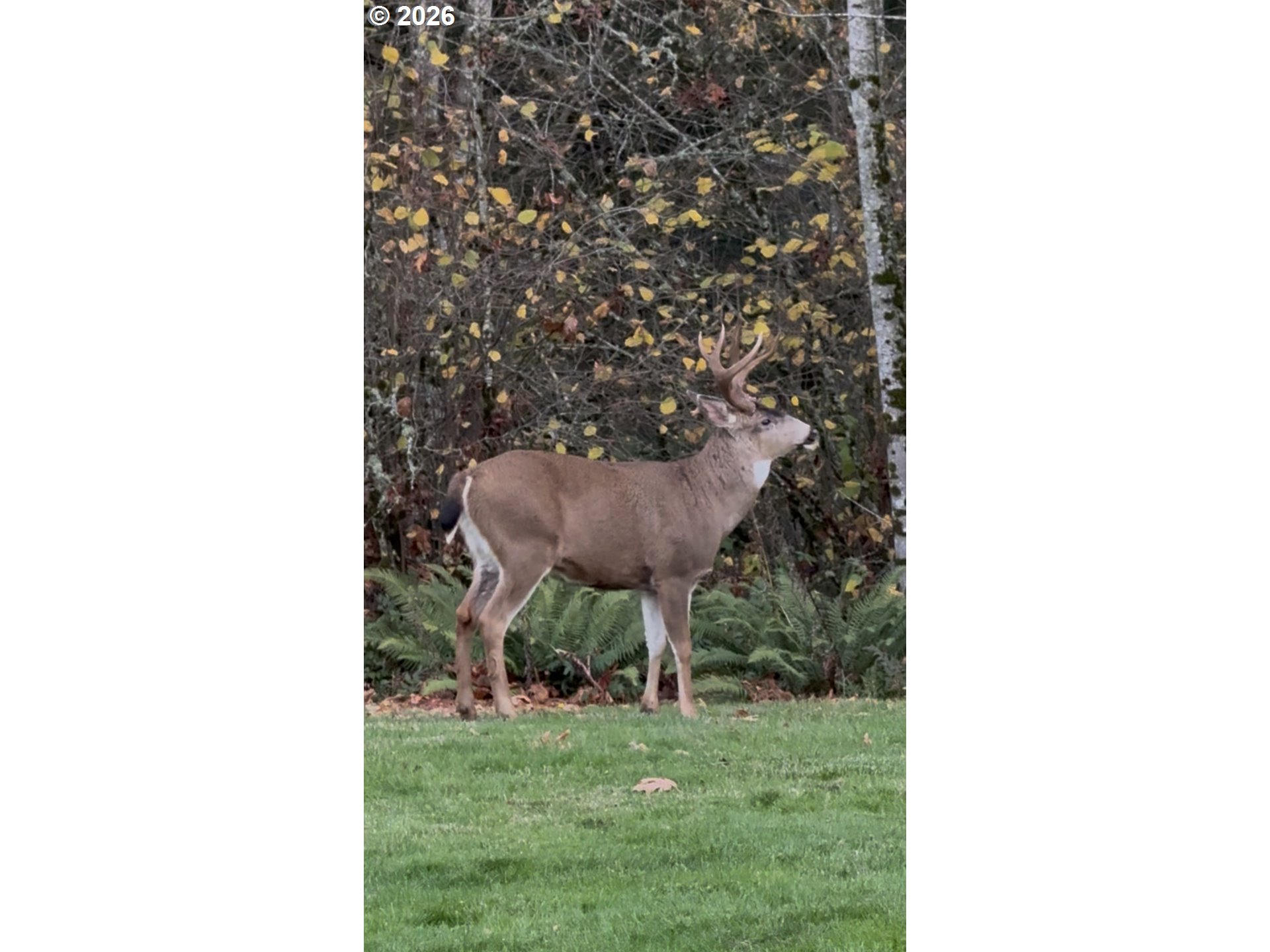 9460 Southeast Jeanne Road, Unit 7200 Happy Valley, OR 97086 - Photo 47 of 48