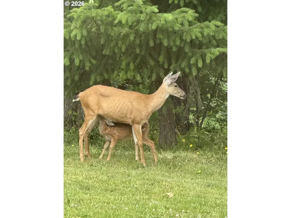 $1,795,000 | 9460 Southeast Jeanne Road, Unit 7200, Happy Valley, OR 97086