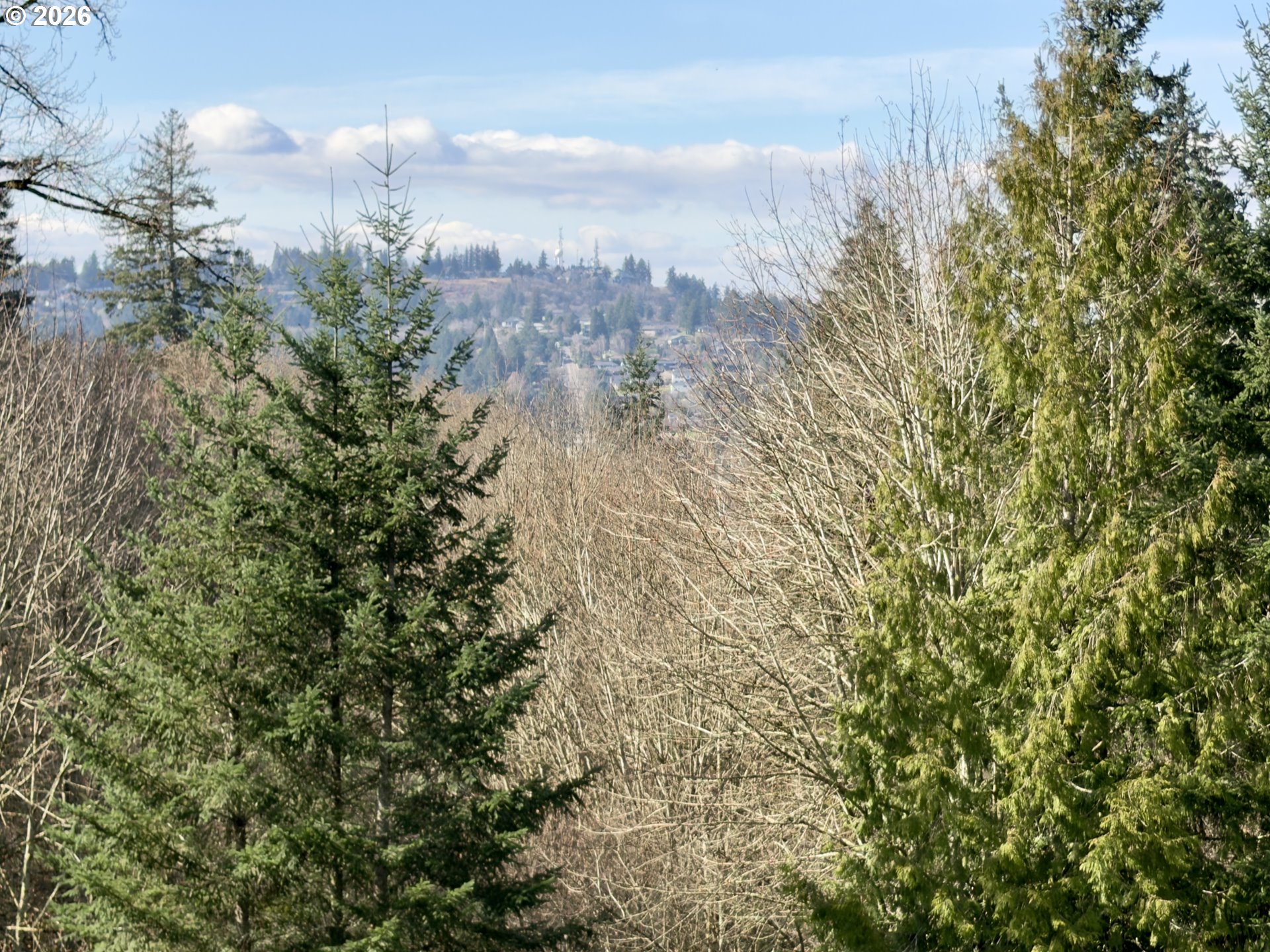 9460 Southeast Jeanne Road, Unit 7200 Happy Valley, OR 97086 - Photo 8 of 48