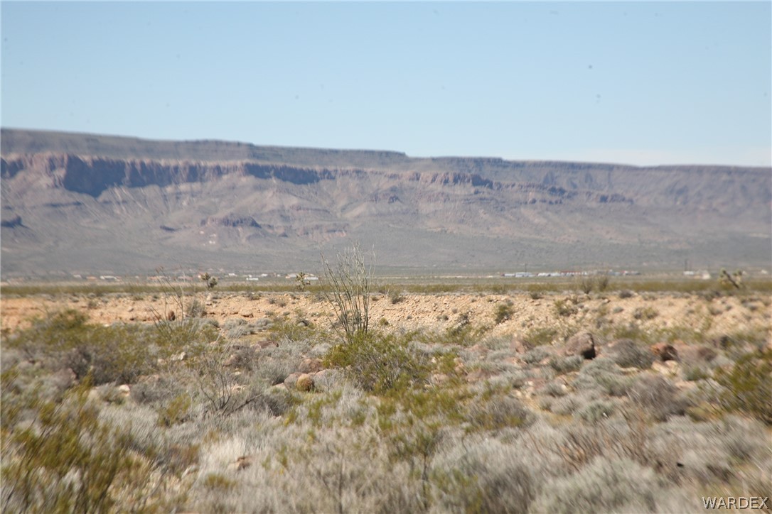 208-24-134 Cameron Road Yucca, AZ 86438 - Photo 70 of 86