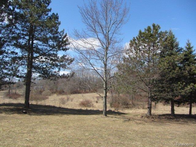 5395 Rochester Road Leonard, MI 48367 - Photo 4 of 25 IMG_0344.JPG