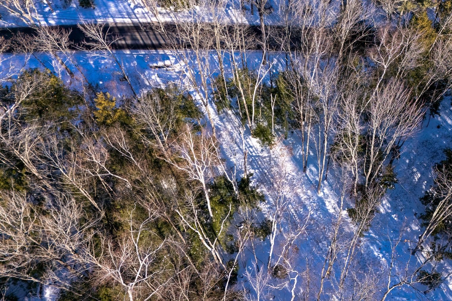 0 Page Hill Road Chocorua, NH 03817 - Photo 11 of 24
