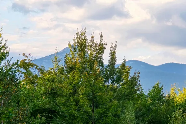 $499,000 | 0 Page Hill Road, Chocorua, NH 03817
