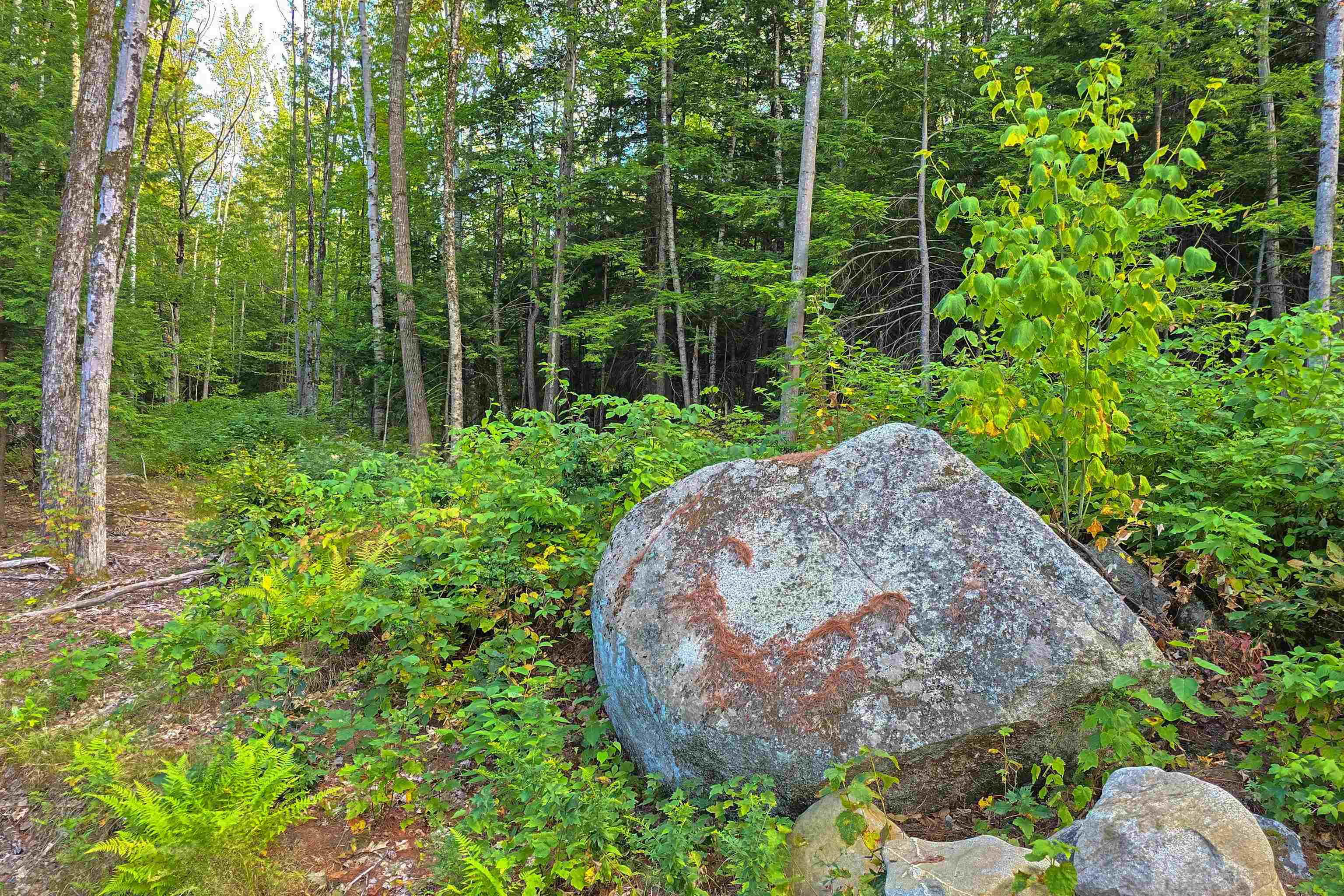 0 Page Hill Road Chocorua, NH 03817 - Photo 13 of 24