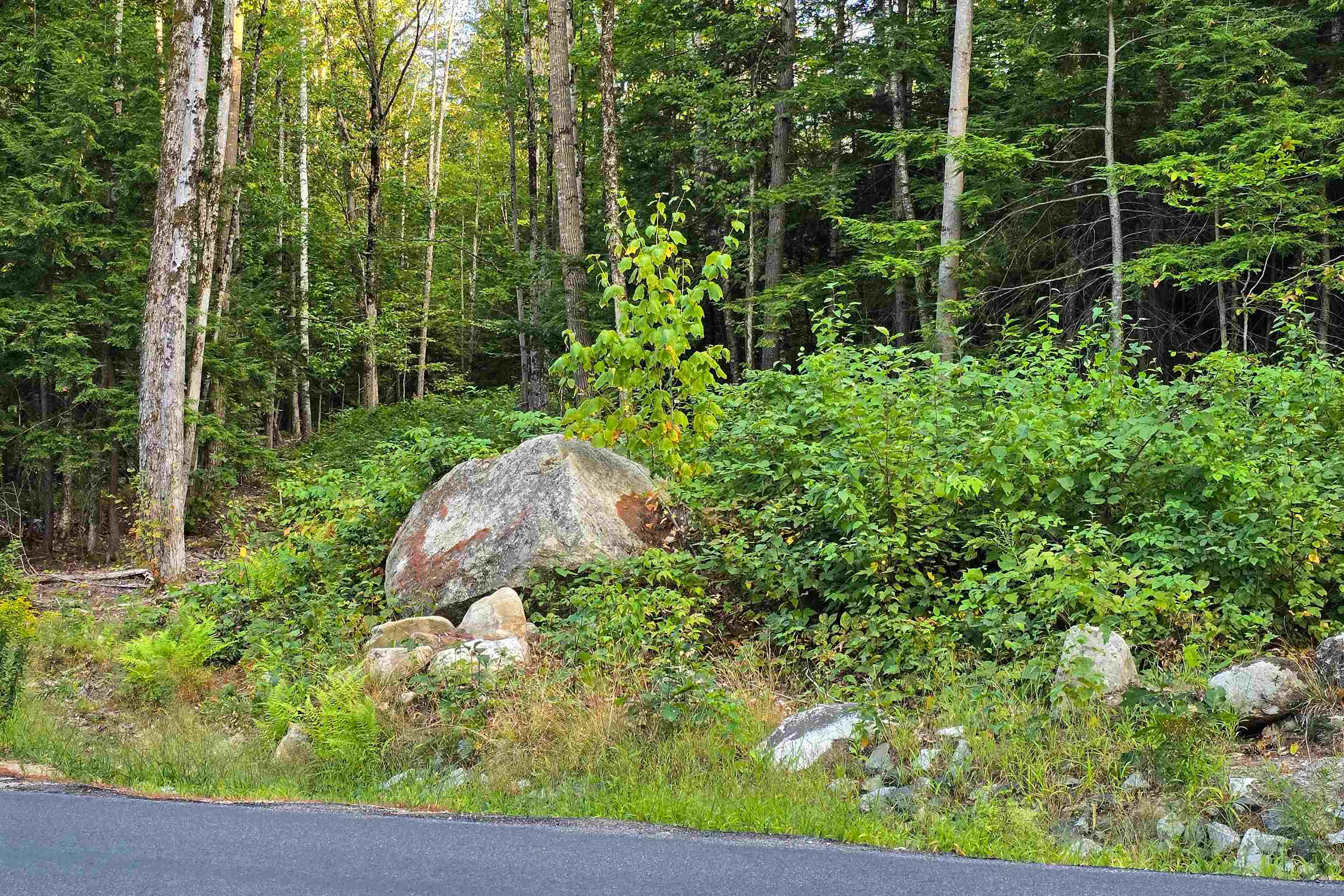 0 Page Hill Road Chocorua, NH 03817 - Photo 18 of 24