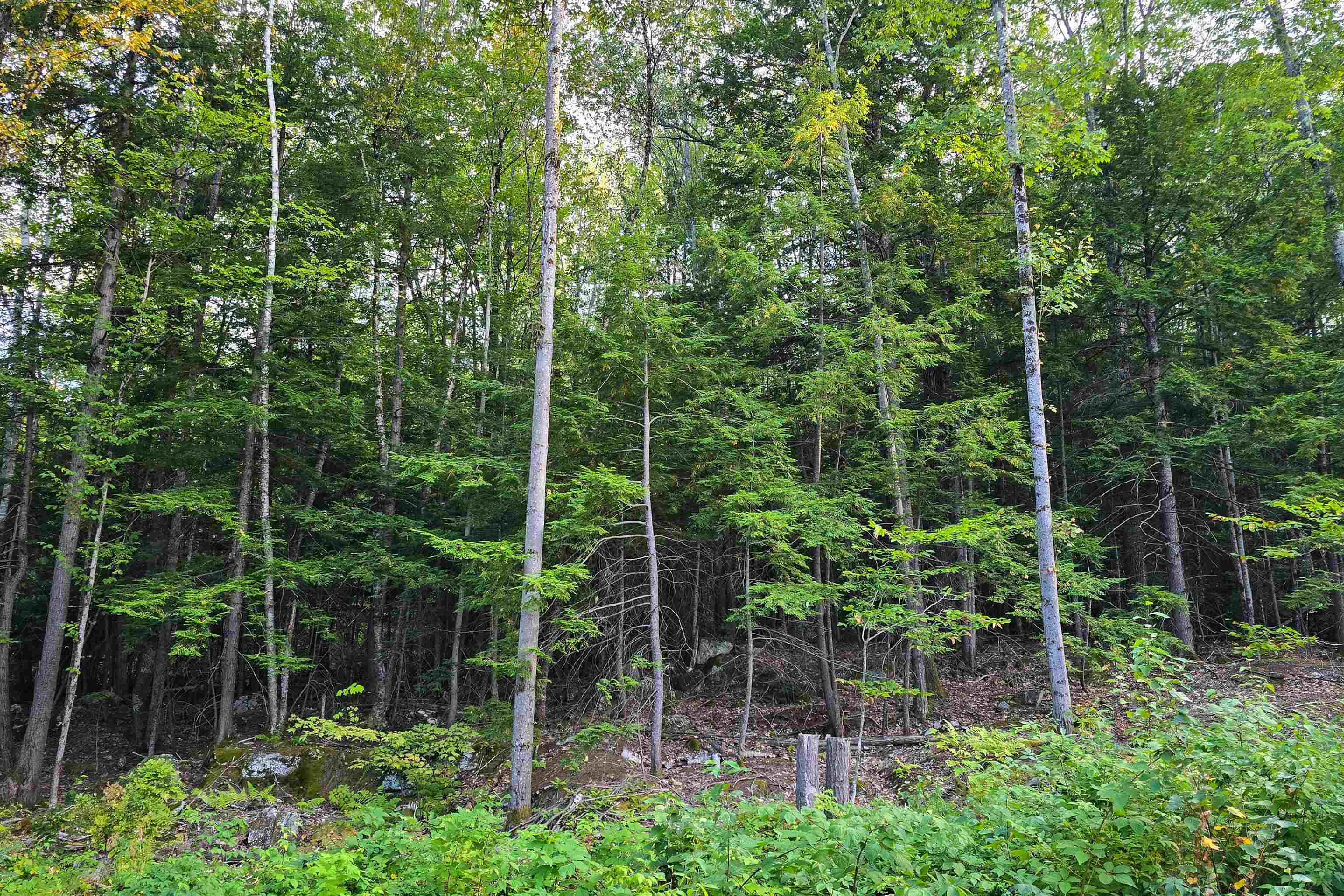 0 Page Hill Road Chocorua, NH 03817 - Photo 20 of 24