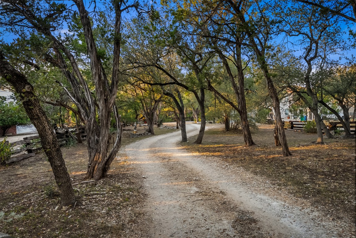 16020 Pool Canyon Road Austin, TX 78734 - Photo 2 of 18 a view of outdoor space with lots of trees