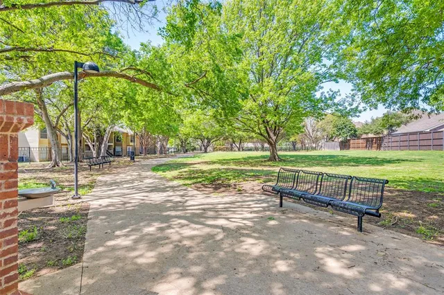 a view of a park with large trees