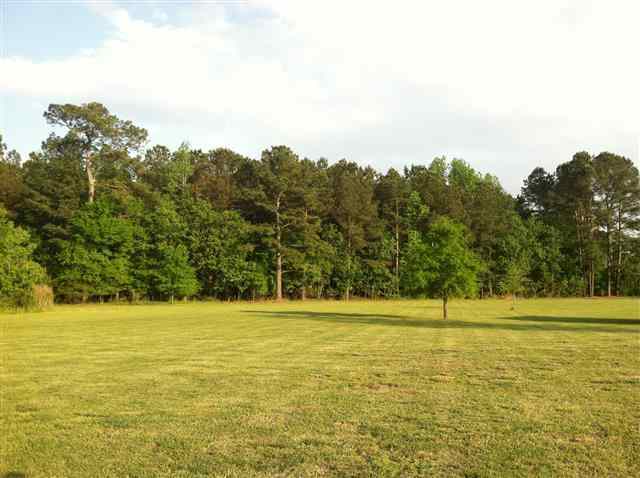 209 Quinn Store Road Beulaville, NC 28518 - Photo 1 of 6 Primary Photo