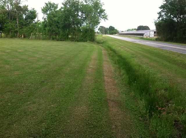209 Quinn Store Road Beulaville, NC 28518 - Photo 4 of 6 Additional Photo