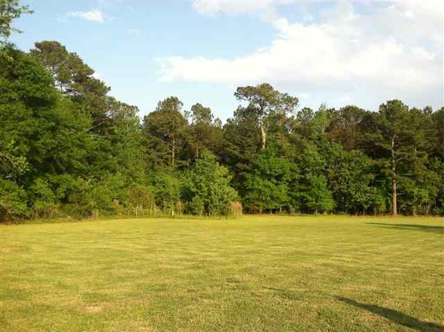 209 Quinn Store Road Beulaville, NC 28518 - Photo 5 of 6 Additional Photo