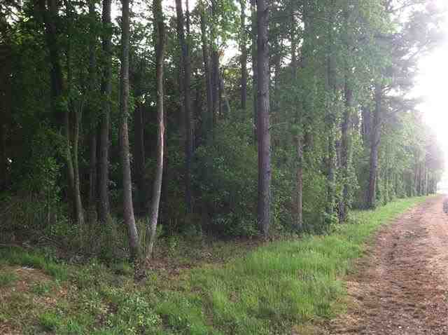 209 Quinn Store Road Beulaville, NC 28518 - Photo 6 of 6 Additional Photo