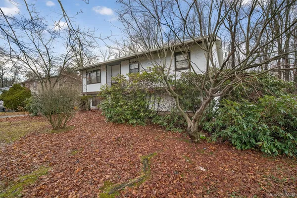 a view of a yard covered with trees