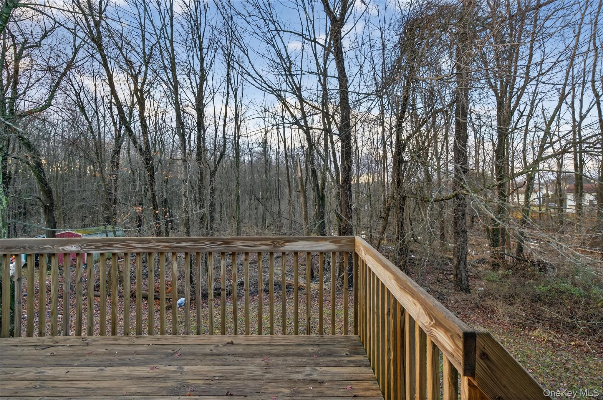 53 Mallory Road Spring Valley, NY 10977 - Photo 29 of 33 View of wooden terrace