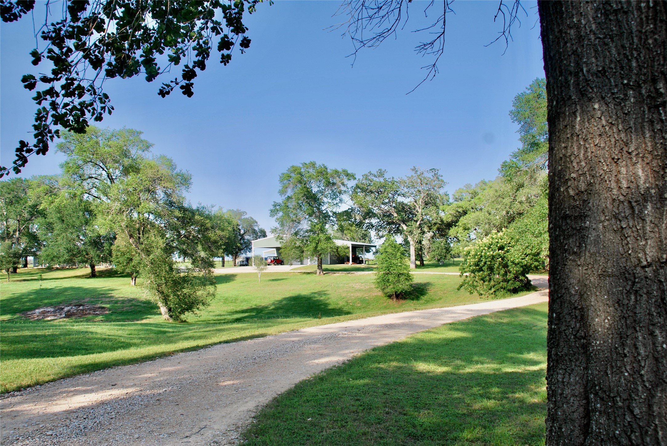 3545 East I- 10 Frontage Road Schulenburg, TX 78956 - Photo 7 of 40 a view of a yard with flower plants and large trees