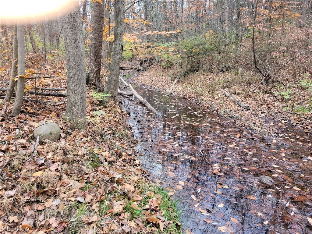 11185 Williams Road Homerville, OH 44235 - Photo 8 of 10 Two creeks cross the property