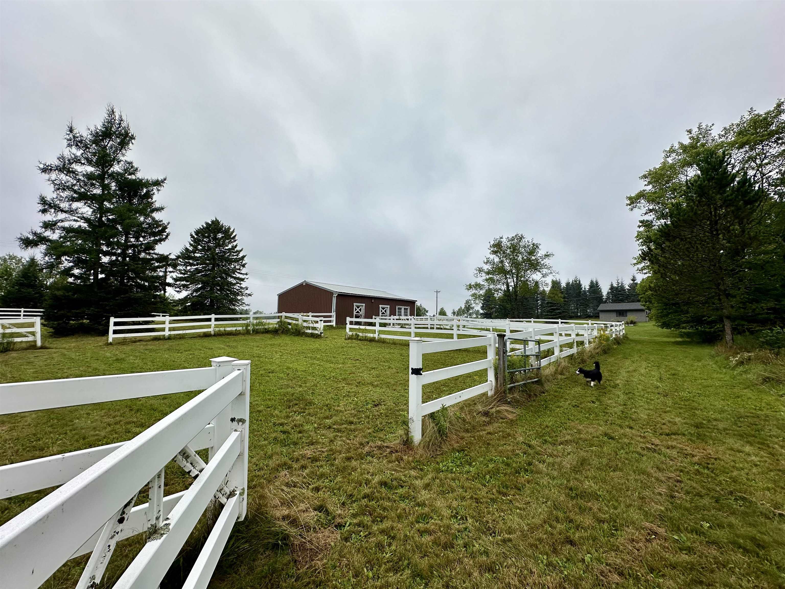 545 North County Road Skandia, MI 49885 - Photo 49 of 80