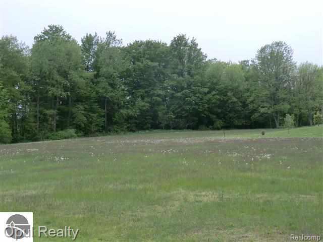 Lot 29 3rd Street Manistee, MI 49660 - Photo 3 of 14