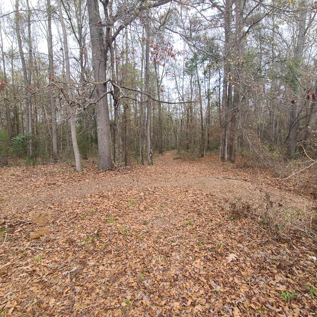 600 Main Street Jackson, SC 29831 - Photo 6 of 28