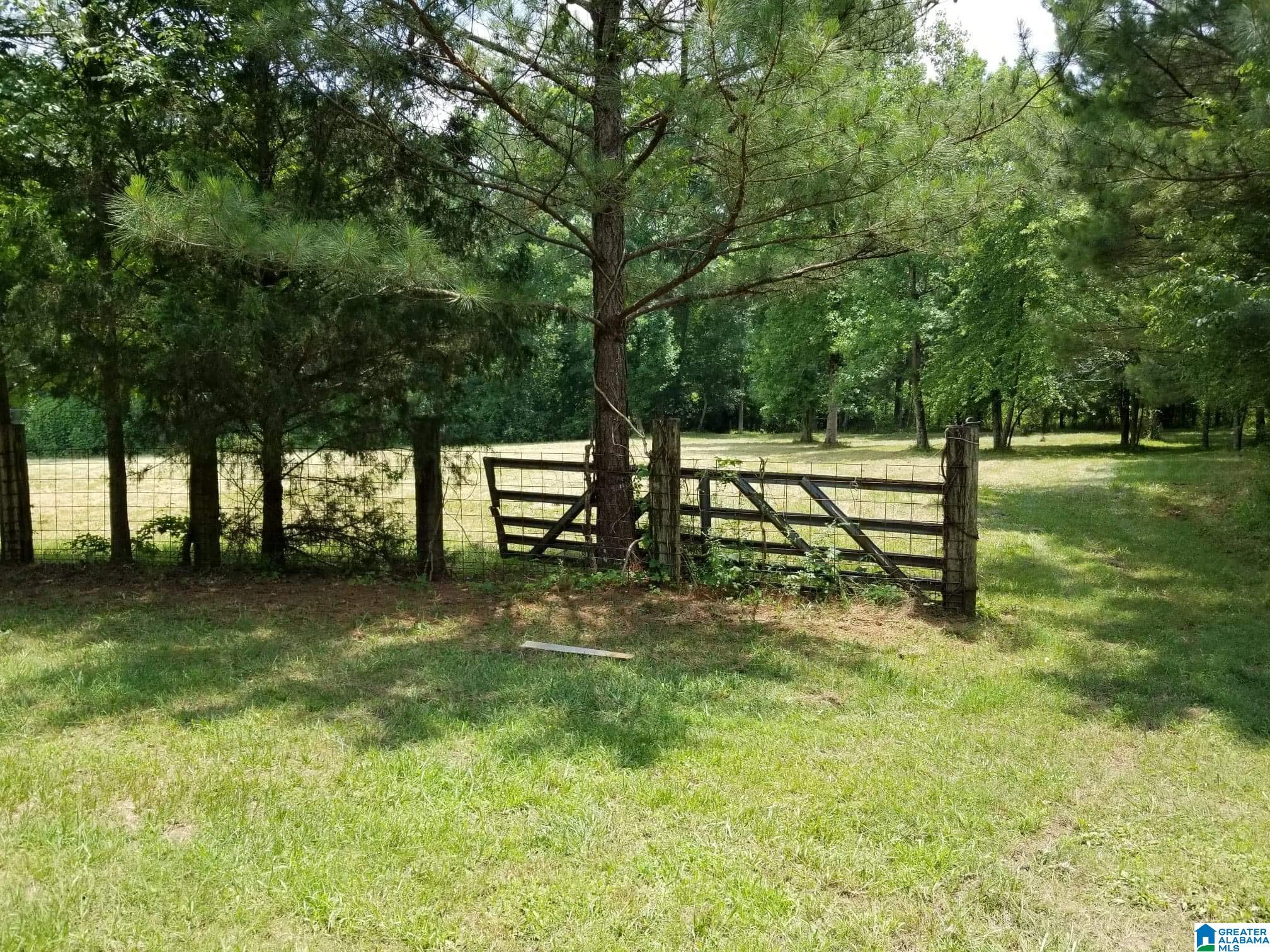 Honeycutt Road Remlap, AL 35133 - Photo 1 of 24