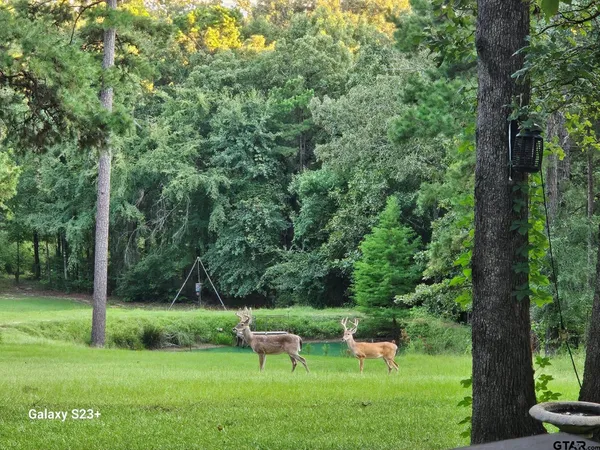 $579,900 | 4491 Farm To Market Road 2869, Hawkins, TX 75765