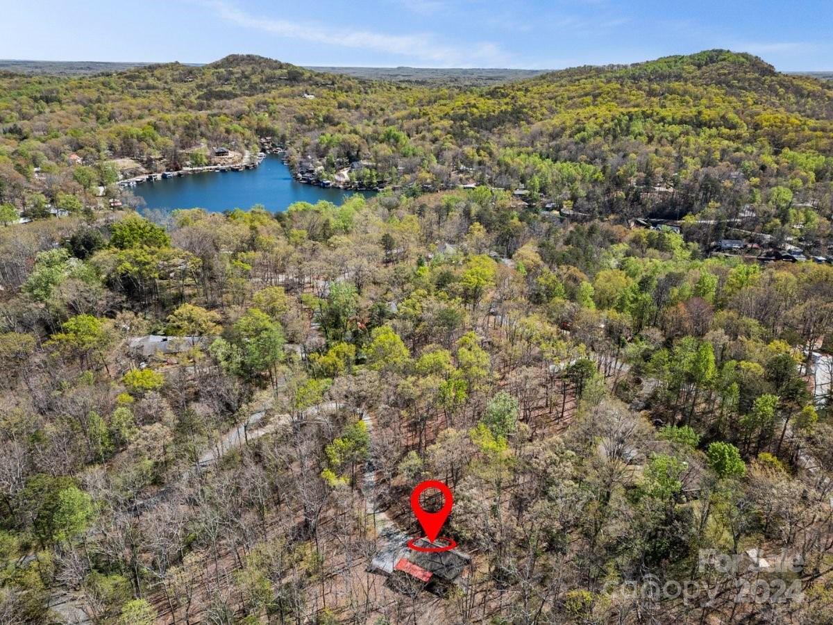 440 Jervey Road Landrum, SC 29356 - Photo 3 of 29 a view of a lake with a mountain in the background