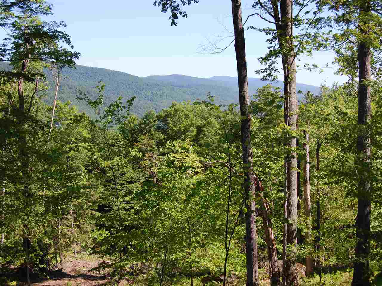 876 Fuller Hill Road Warren, VT 05674 - Photo 3 of 20