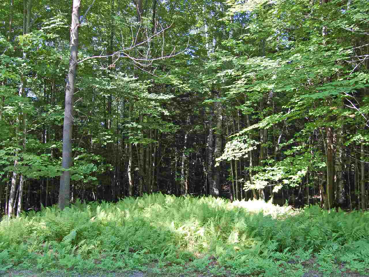 876 Fuller Hill Road Warren, VT 05674 - Photo 4 of 20