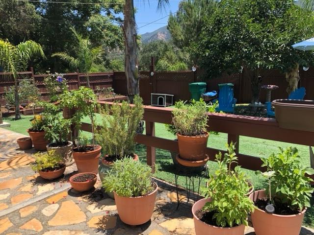 47510 Arroyo Seco Road Greenfield, CA 93927 - Photo 52 of 60 Gallery Image 52