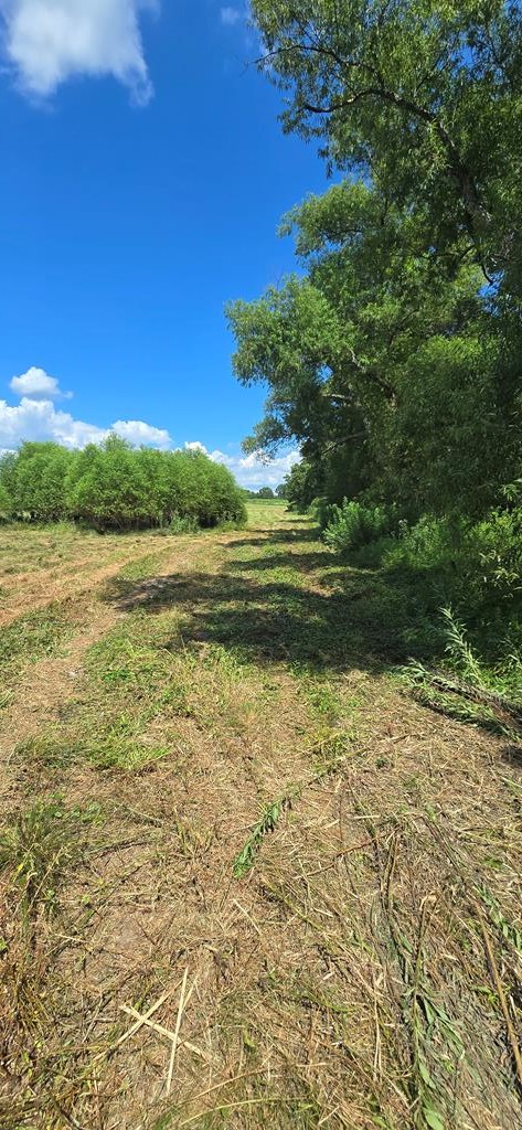 91 County Road 91 Slocomb, AL 36375 - Photo 12 of 18