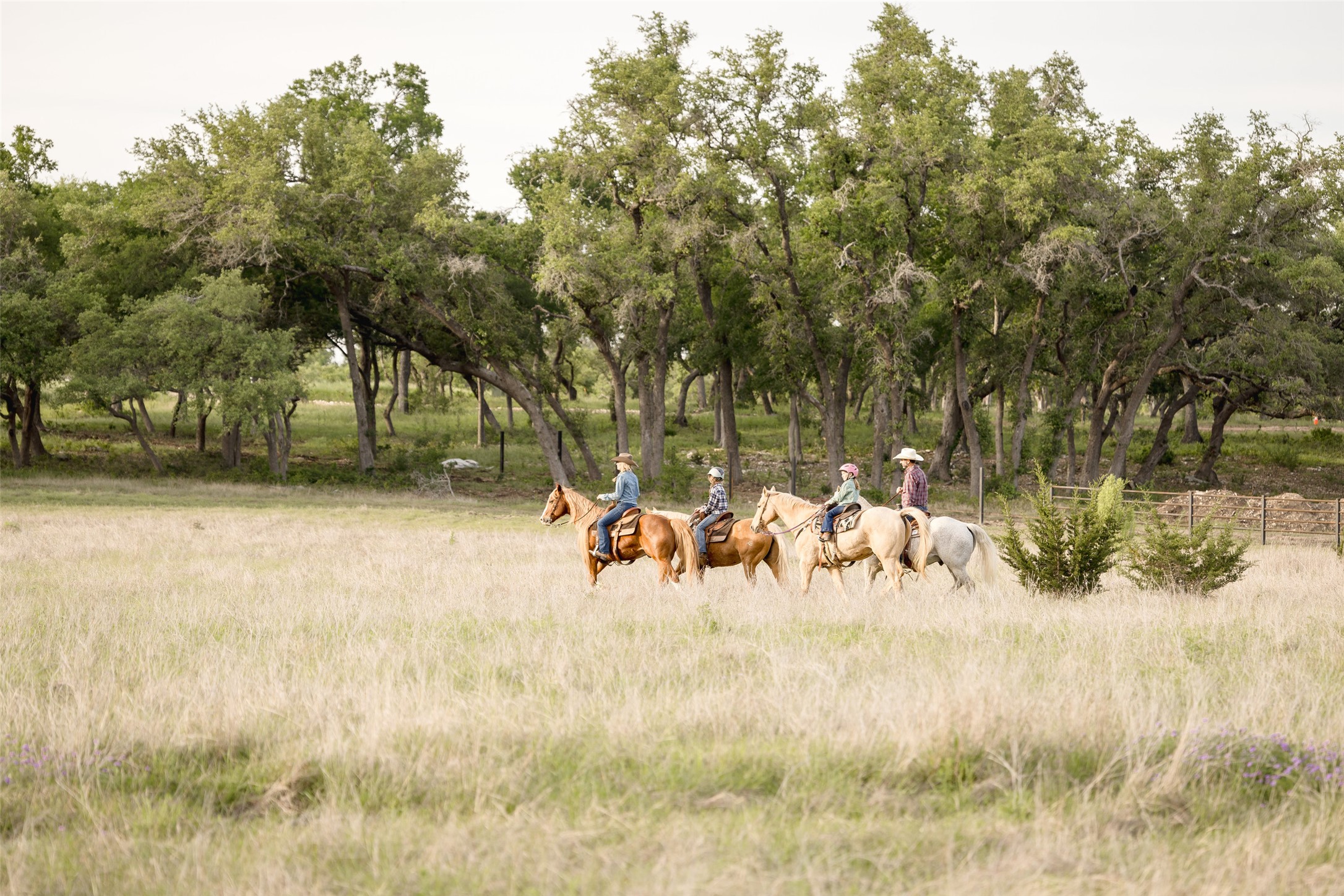 Lot 34 Mesa Rnch Road Dripping Springs, TX 78620 - Photo 6 of 15 a view of a yard with a trampoline