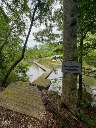 a view of a pathway of a yard