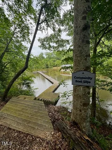 a view of a pathway of a yard