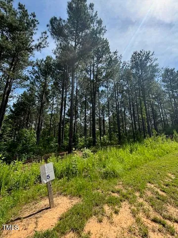 a view of backyard with green space