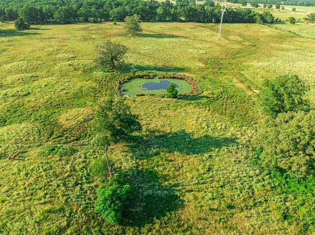 a view of an ocean from a yard
