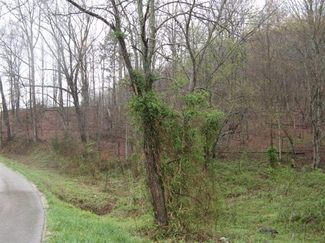 2800 East Fork Road Means, KY 40346 - Photo 8 of 22 Photo 8