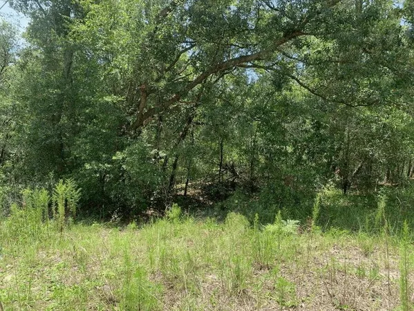 $12,500 | 0 Oklahoma Avenue, Satsuma, FL 32189