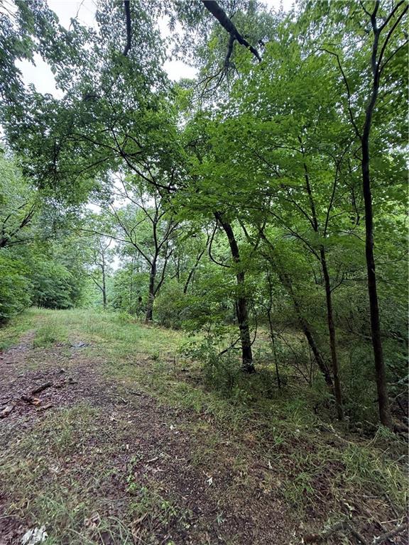 0 Pine Ridge Road China Grove, NC 28023 - Photo 2 of 4
