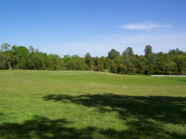 Property in Spring