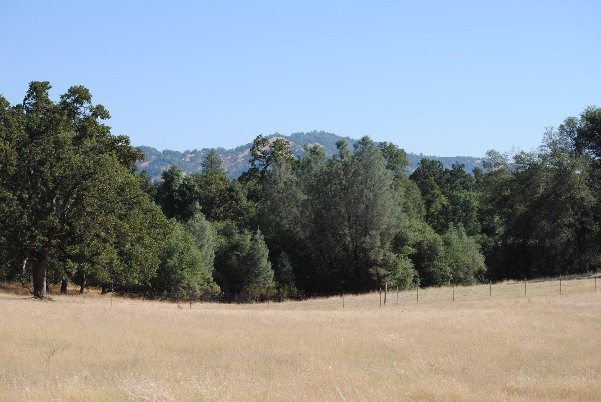 Property and Views