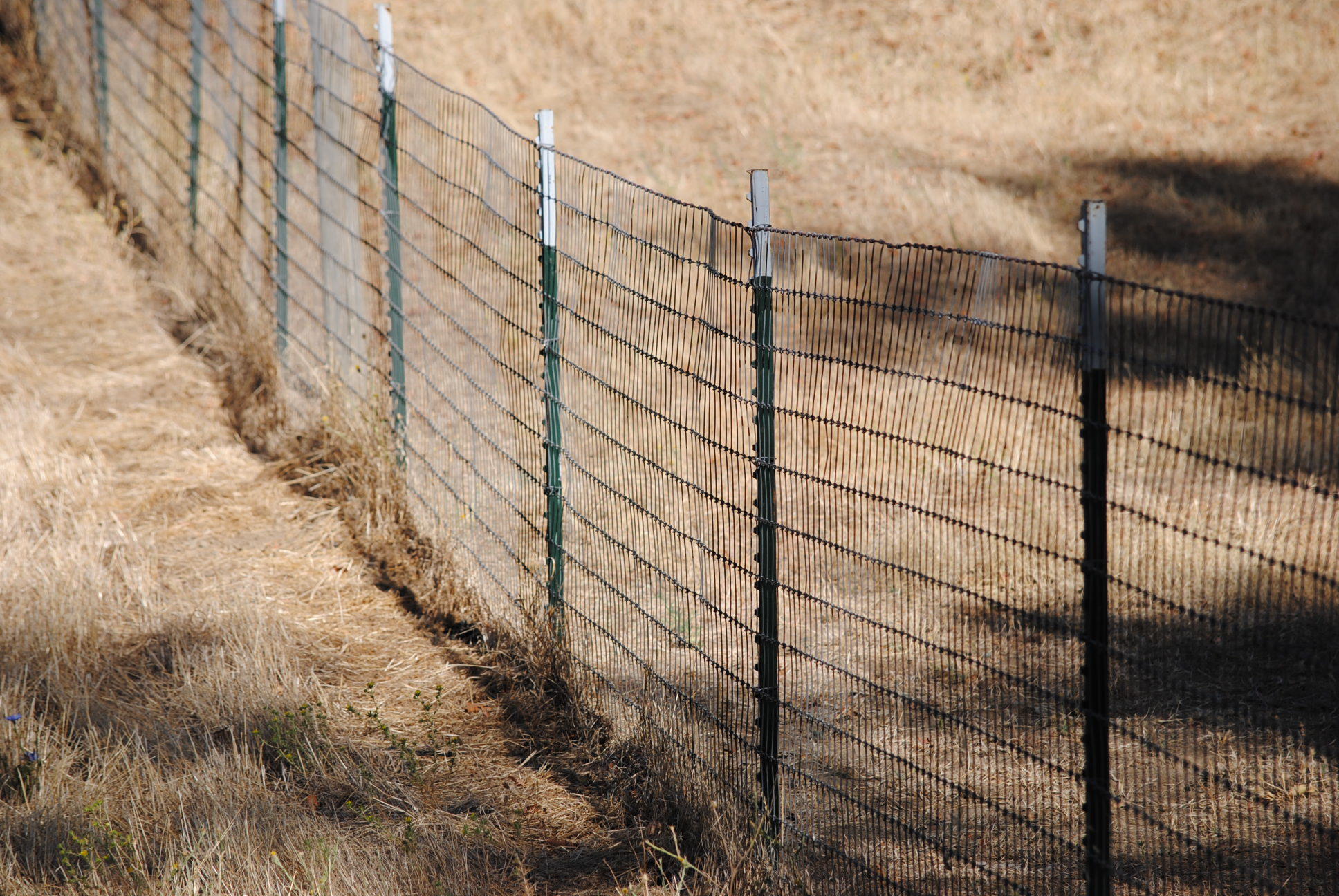 Fencing