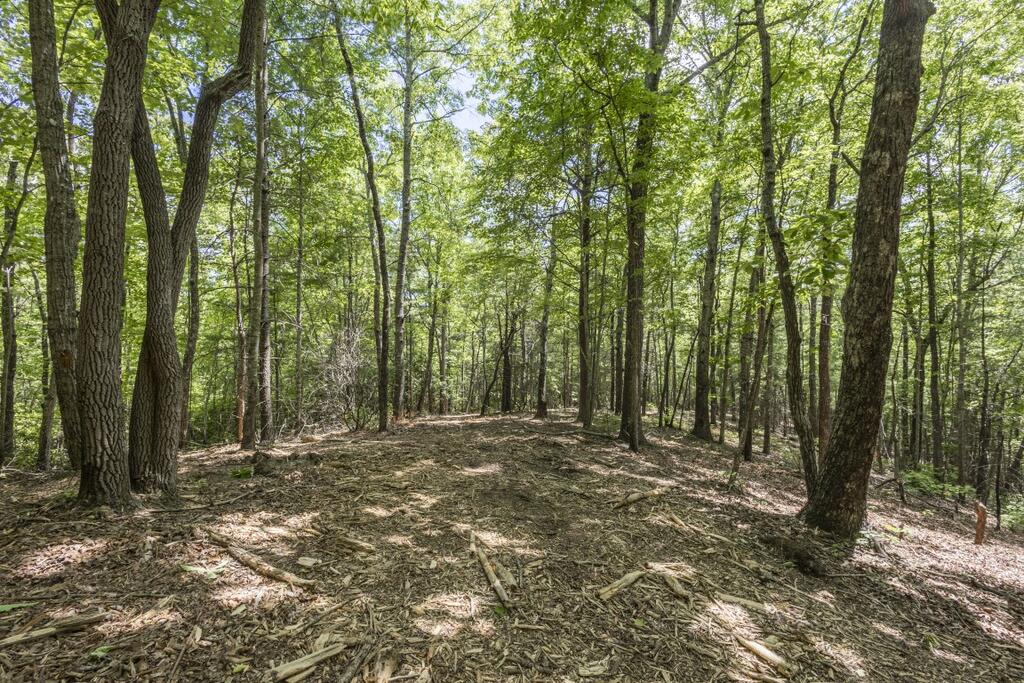 34-ac Donley Road Murphy, NC 28906 - Photo 33 of 37 Gallery Image 33