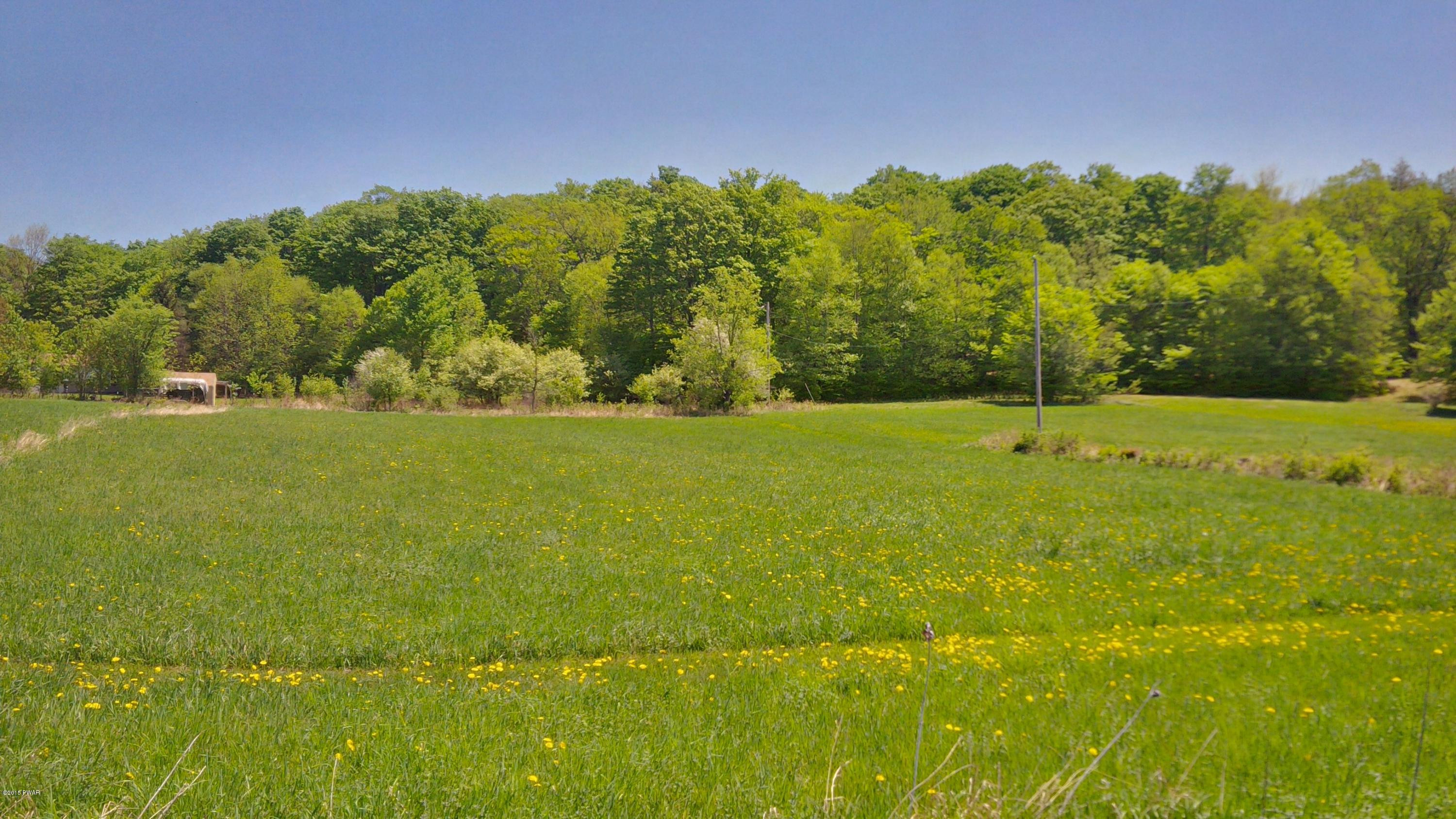 Westcott Road Tyler Hill, PA 18469 - Photo 2 of 6