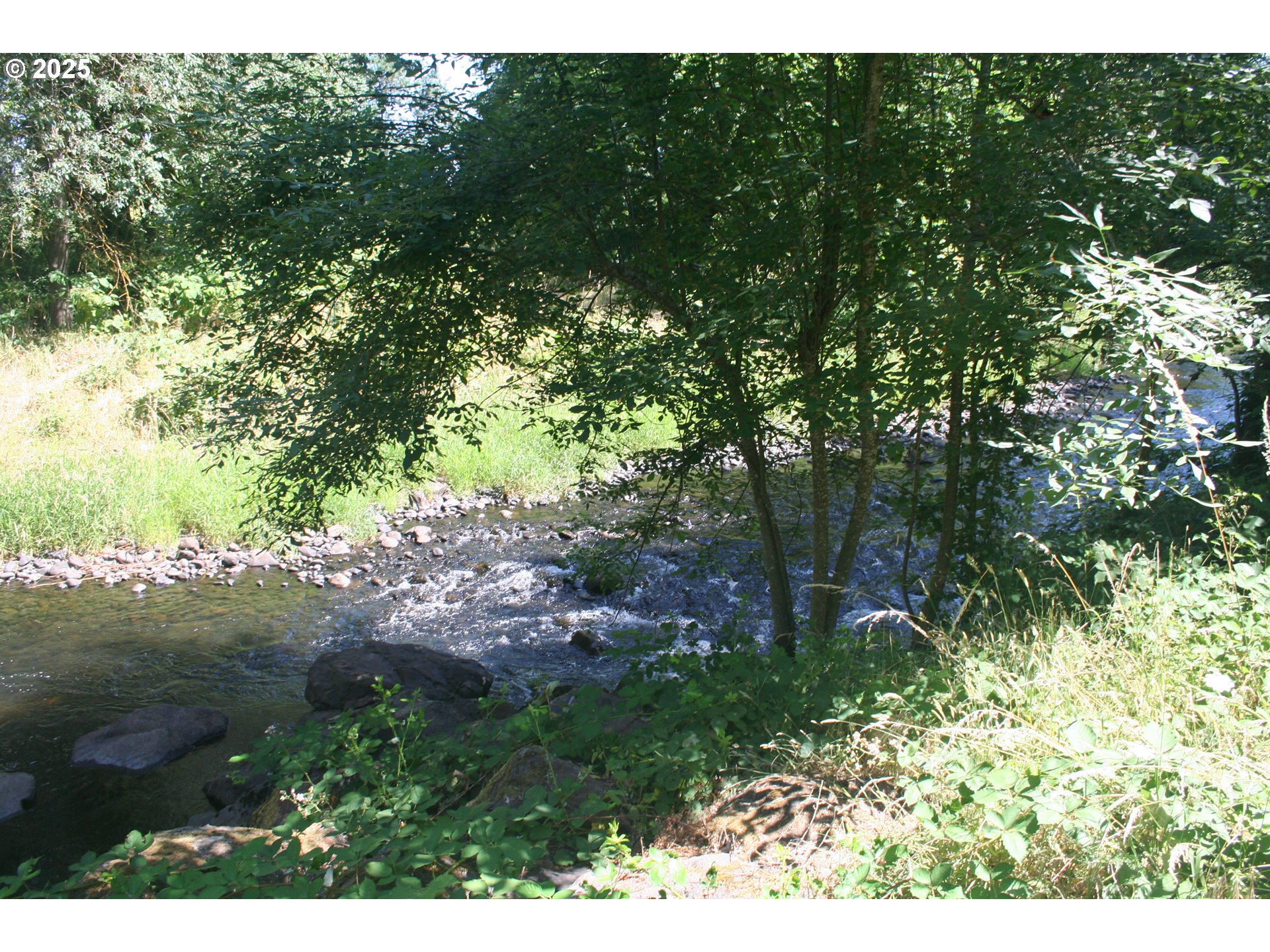 264 Monson Road Silverton, OR 97381 - Photo 45 of 48 Gallery Image 45